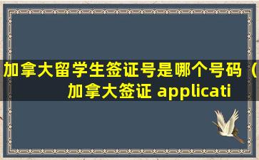 加拿大留学生签证号是哪个号码（加拿大签证 application number）